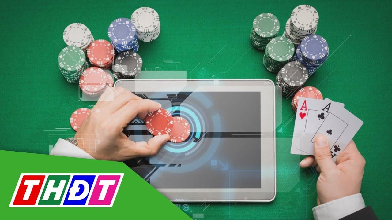 Khám phá bí quyết nuôi gà tre đá tiền để thắng lớn mỗi trận đấu